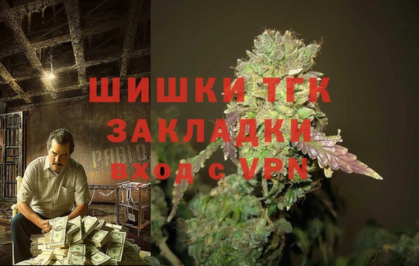 спайс Алзамай