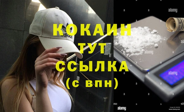 спайс Алзамай